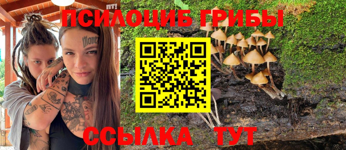 Псилоцибиновые грибы GOLDEN TEACHER Аксай