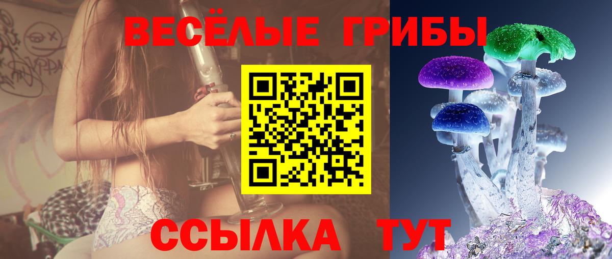 Аксай  Псилоцибиновые грибы ЛСД  Вход с VPN 